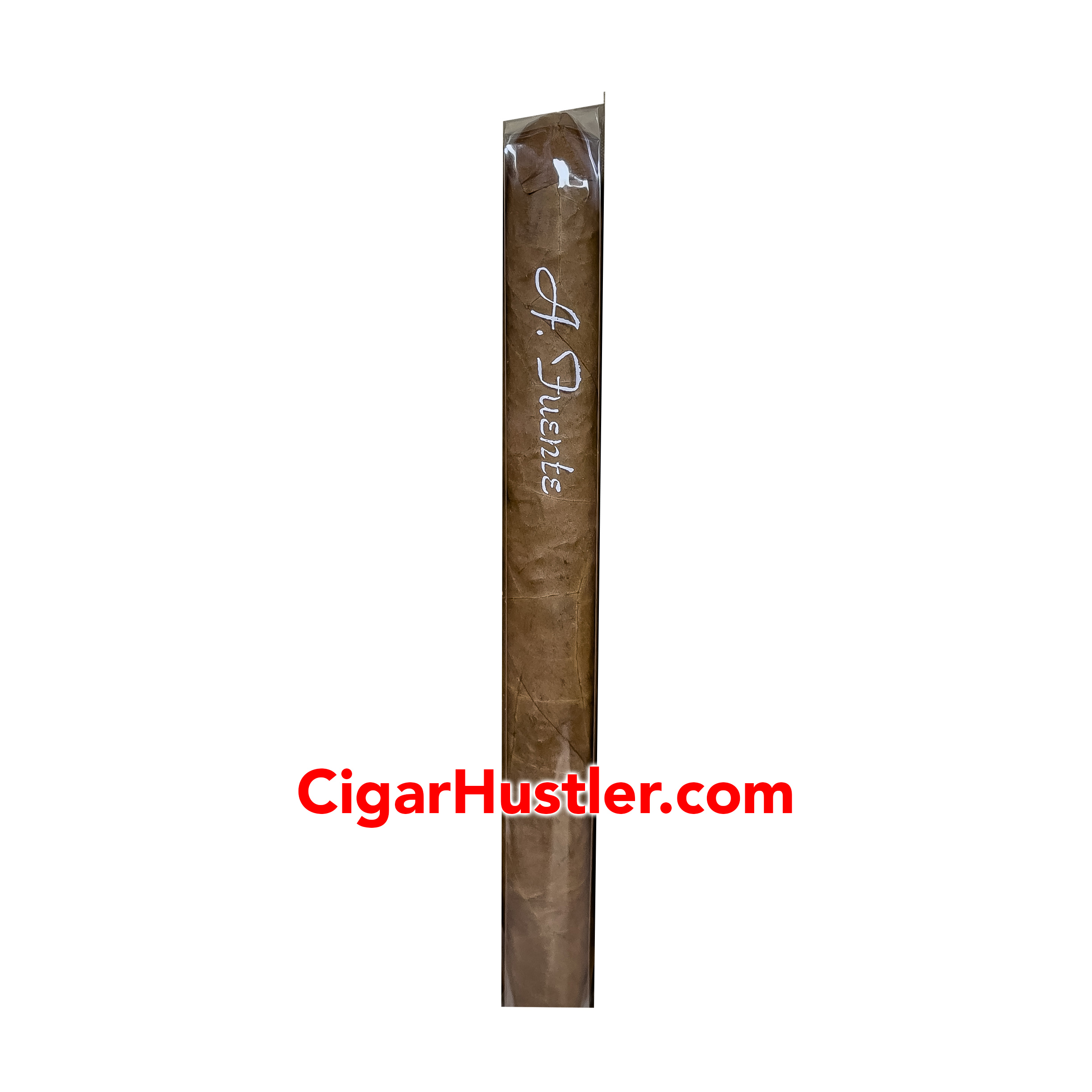 Arturo Fuente Curly Head Cigar - Single